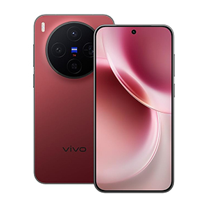 vivo X300